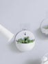 Plastic Wall Hanging Green Dill Hanging Flower Pot